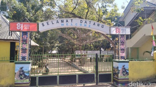 Situasi SMPN1 1 Labuan Bajo, ManggaraiBarat, NTT, yang meliburkan siswa akibat gempa, Sabtu (15/8/2026). (Foto:Ambrosius Ardin/detikBali)