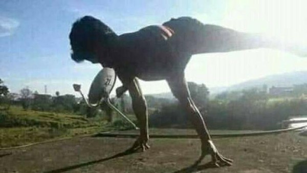Awas Terkecoh! 12 Gambar Ini Tak Seperti yang Kamu Kira, Mata Bisa Tertipu