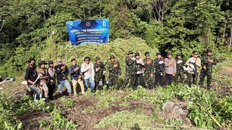 BNN Musnahkan 12 Hektare Ladang Ganja di Aceh, Total 30 Ribu Batang Pohon