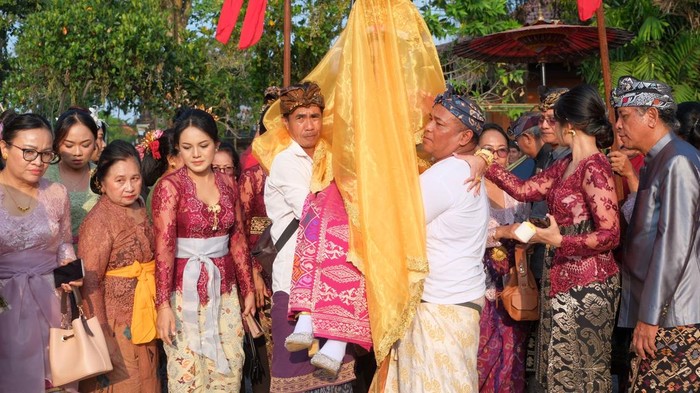 Umat Hindu mengarak joli atau tandu tradisional yang membawa pasangan pengantin dalam tradisi pernikahan agung khas Bali di Puri Agung Singasana, Tabanan, Bali, Minggu (16/8/2026). Keluarga kerajaan di Kabupaten Tabanan kembali menggelar upacara pernikahan tradisional setelah vakum selama 60 tahun untuk melestarikan warisan budaya leluhur yang hampir punah. ANTARA FOTO/Nyoman Hendra Wibowo