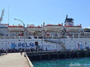 Pelni Bebaskan Biaya Kirim Logistik Bantuan Korban Gempa di Flores