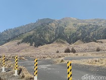 1.120 Hektare Lahan di Bromo Hangus Terbakar, Api Kini Terkendali