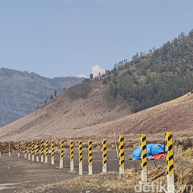 Kondisi Terkini Kawasan Bromo Setelah Kebakaran Hutan dan Lahan