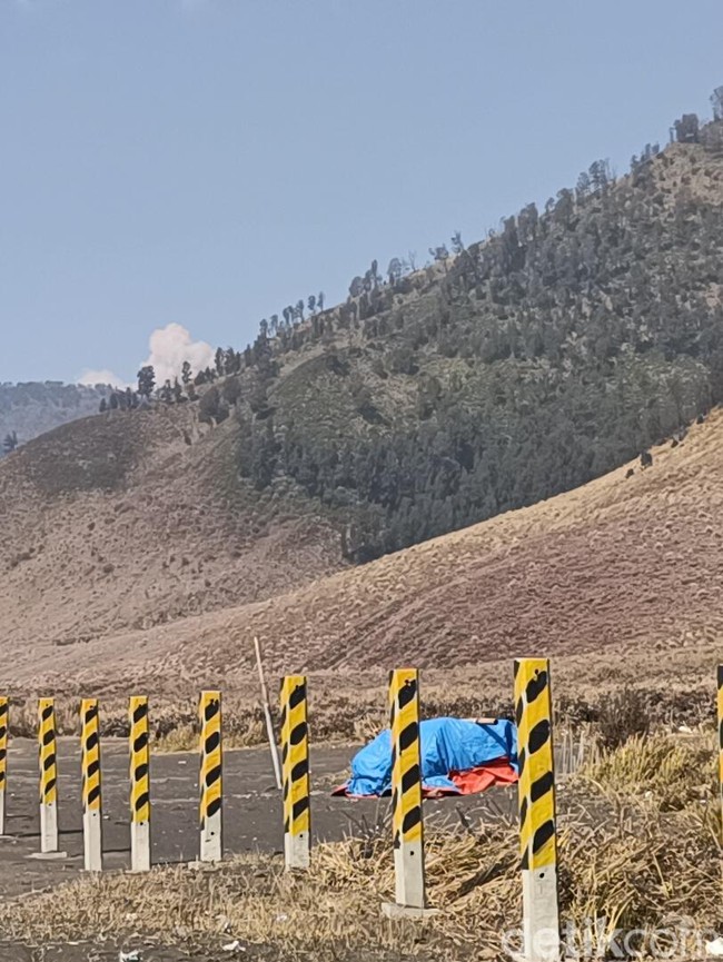 Kondisi Terkini Kawasan Bromo Setelah Kebakaran Hutan dan Lahan