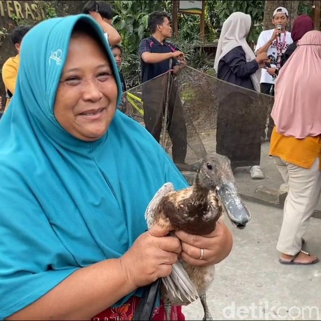 Potret Keseruan Lomba Tangkap Bebek saat HUT ke-81 RI di Lamongan