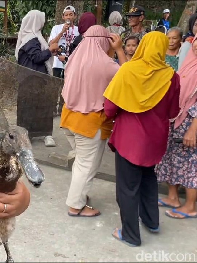 Potret Keseruan Lomba Tangkap Bebek saat HUT ke-81 RI di Lamongan