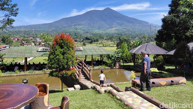 Makan berlatar Gunung Cikuray Garut Makan berlatar Gunung Cikuray Garut