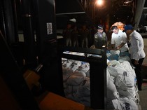 Video Pemerintah Kirim 27 Ton Logistik untuk Korban Gempa NTT di Hari Kejadian