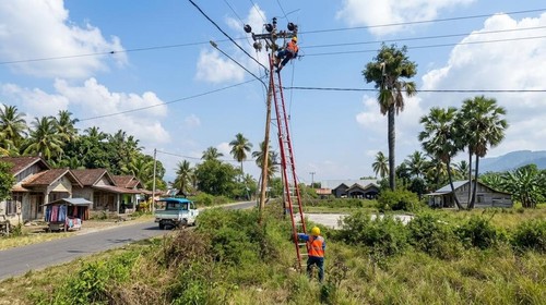 Petugas PLN saat memperbaiki komponen jaringan distribusi yang terdampak guncangan gempa di wilayah Flores, NTT, Minggu (16/8/2026). Foto: Dok. Humas PLN