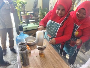 Warga Sidoarjo Adu Racik Teh Kumis Kucing Sambut HUT RI, Ini Manfaatnya