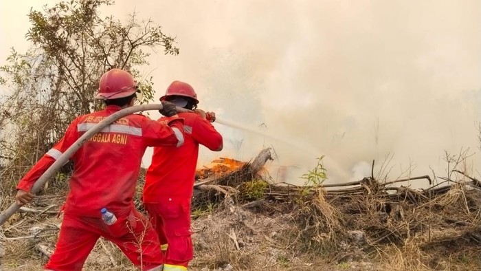 Tim Manggala Agni saat lakukan pemadaman karhutla
