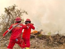 Manggala Agni Padamkan Karhutla Hampir 100 Hektare di 4 Wilayah Sumsel