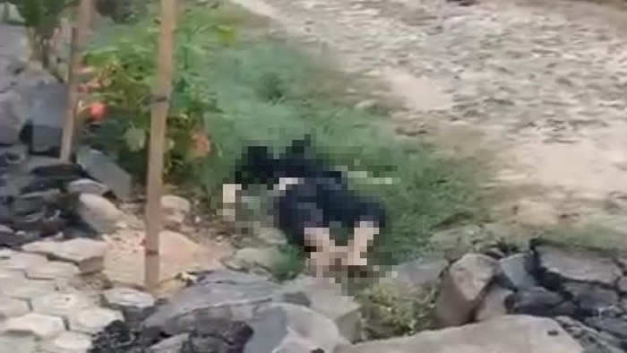 DPO curanmor di Lampung Timur ditemukan tewas telungkup di depan rumah warga
