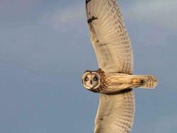 Ujung Pelangi dan Kumpulan Foto Luar Biasa Lainnya