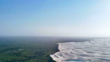 Garis pemisah yang tegas antara hutan rimbun dan Bukit Pasir Putih Lençóis Maranhenses, Brasil. Foto: gabigorp via Bored Panda