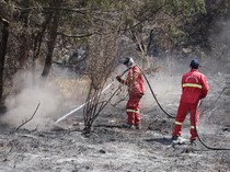 TNBTS Mulai Hitung Kerugian Karhutla Bromo