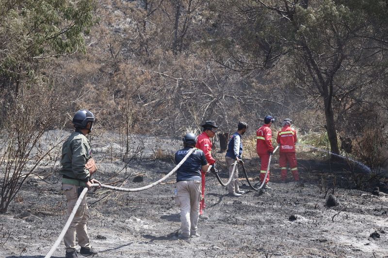 Kebakaran bromo Petugas gabungan melakukan pendinginan (mopping up) di kawasan Taman Nasional Bromo Tengger Semeru (TNBTS), Senin (17/8/2026). Penyisiran dilakukan untuk memastikan tidak ada bara api yang masih tersisa dan berpotensi memicu kebakaran kembali.