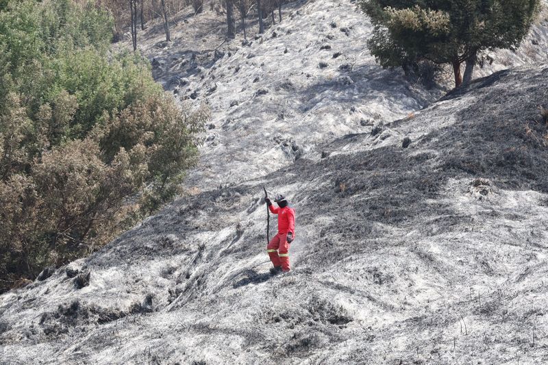 Kebakaran bromo Petugas gabungan melakukan pendinginan (mopping up) di kawasan Taman Nasional Bromo Tengger Semeru (TNBTS), Senin (17/8/2026). Penyisiran dilakukan untuk memastikan tidak ada bara api yang masih tersisa dan berpotensi memicu kebakaran kembali.