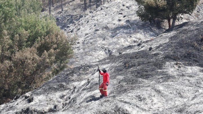 Petugas gabungan melakukan pendinginan (mopping up) di kawasan Taman Nasional Bromo Tengger Semeru (TNBTS), Senin (17/8/2026). Penyisiran dilakukan untuk memastikan tidak ada bara api yang masih tersisa dan berpotensi memicu kebakaran kembali.