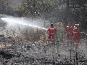 Api Padam, Bromo Segera Dibuka Lagi buat Wisatawan