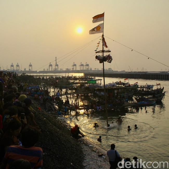 Keseruan Warga Kampung Kerang Panjat Pinang di Tepi Laut