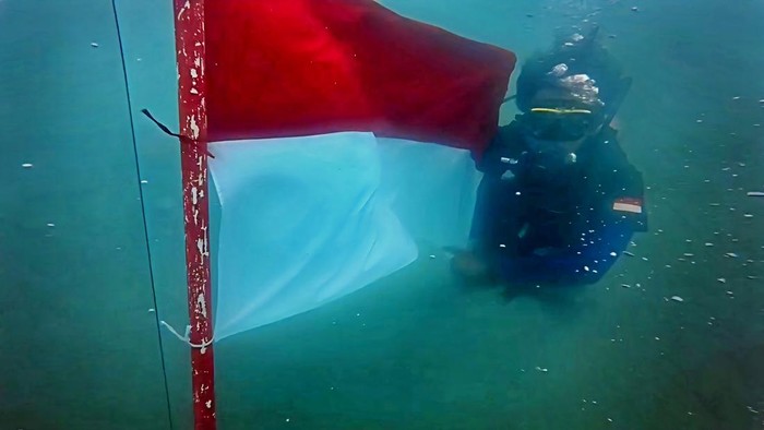 Komunitas Penyu menggelar upacara dan pengibaran bendera merah putih di dasar lau