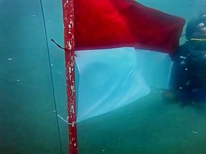 Video: Sosok Pelajar Sukabumi yang Ikut Kibarkan Merah Putih di Dasar Laut