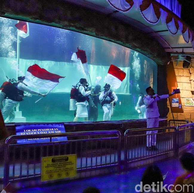 Merah Putih Berkibar di Bawah Air