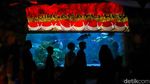 Merah Putih Berkibar di Bawah Air