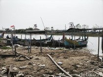 Nelayan Tambakrejo Semarang Sambat Gagal Panen Kerang Hijau