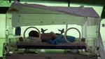 Potret Perawatan Bayi Baru Lahir di Tenda Darurat Pascagempa Flores