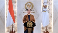 Puan Minta Lahan Bekas Karhutla Jadi Kebun Sawit Diusut!