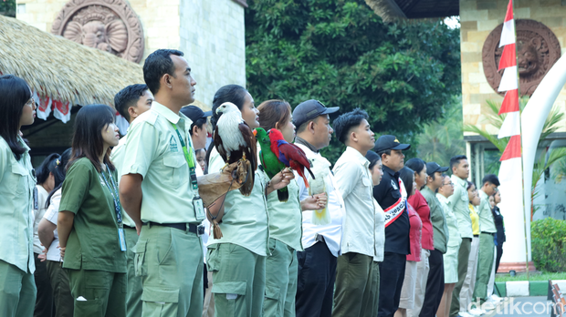 Seekor elang bondol, dua ekor burung nuri, seekor burung kakaktua, dan dua ekor ular piton asal Myanmar dan Indonesia mengikuti mengikuti upacara bendera di Taman Safari Bali, Senin (17/8/2026). (Aryo Mahendro/detikBali).