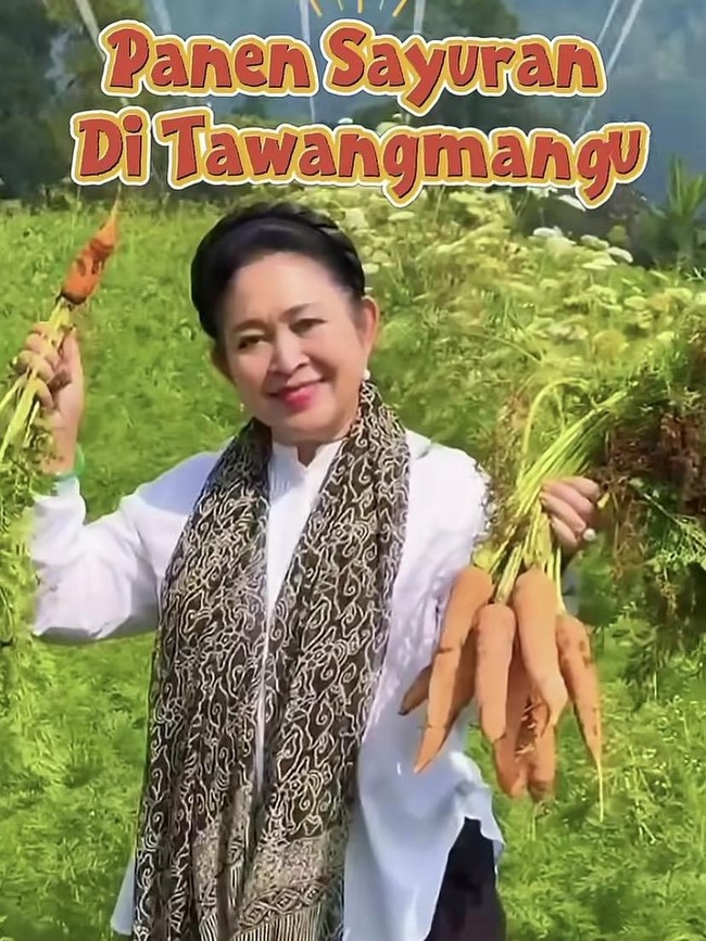 Seru! Momen Titiek Soeharto Kulineran Kaki Lima dan Panen Sayuran
