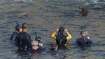 Berburu Momen Bersama Singa Laut di Teluk La Jolla