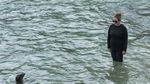 Berburu Momen Bersama Singa Laut di Teluk La Jolla