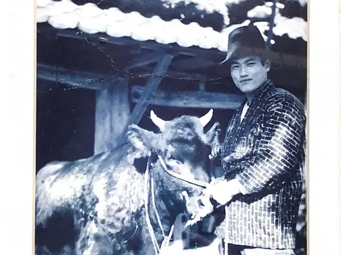 Mantap Jadi Peternak Sapi Wagyu, Pria Ini Tinggalkan Karier IT Kantoran