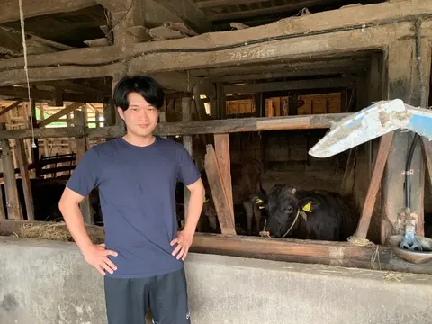 Mantap Jadi Peternak Sapi Wagyu, Pria Ini Tinggalkan Karier IT Kantoran