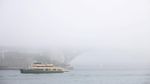 Kabut Tebal Selimuti Feri-feri yang Melintas di Sydney Harbour