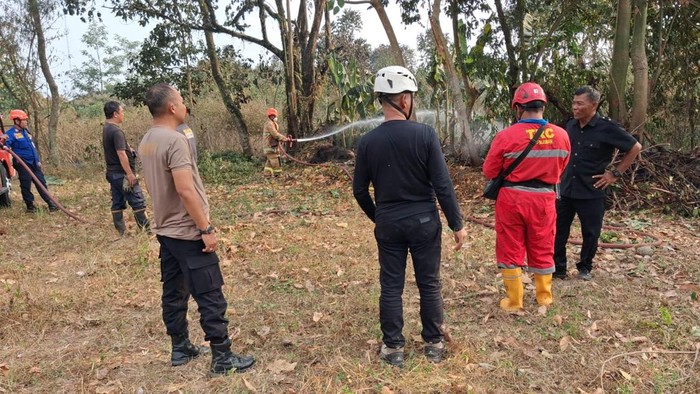 Penampakan lahan kosong yang terbakar di Kalurahan Sariharjo, Randugowang, Tegalsari, Ngaglik, Sleman, Selasa (18/8/2026).