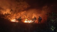 Anggota DPR Desak Kemenkeu Cairkan Rp 290 M untuk Tangani Karhutla Kalimantan