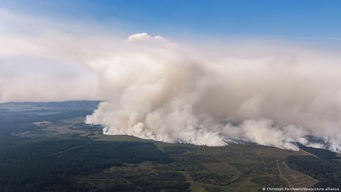 Kebakaran Hutan Terbesar Landa Belgia, Bantuan Eropa Berdatangan