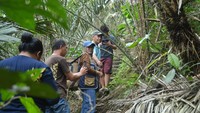 Menjelajah Kebun Salak Pangu: Bisa Petik Langsung, Nikmati Sejuknya Pegunungan