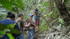 Menjelajah Kebun Salak Pangu: Bisa Petik Langsung, Nikmati Sejuknya Pegunungan