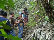 Menjelajah Kebun Salak Pangu: Bisa Petik Langsung, Nikmati Sejuknya Pegunungan