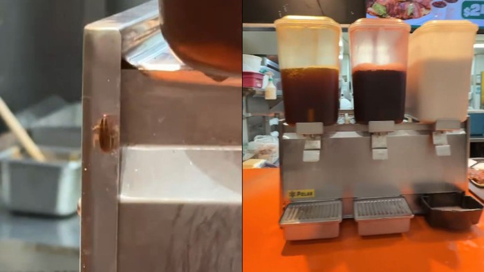 Kecoak Merayap di Dispenser Minuman Resto, Netizen Pertanyakan Hiegenitasnya