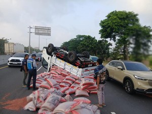 Pikap Muat Kacang Merah Terbalik di Tol Sidoarjo-Waru