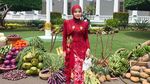 Raline Shah hingga Aura Kasih Berkebaya Merah di Upacara HUT Ke-81 RI