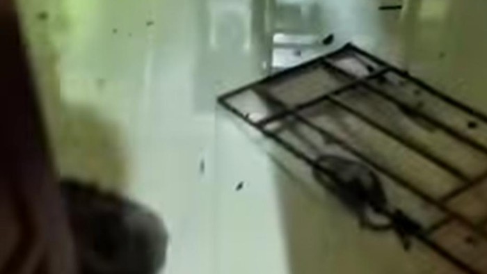 Sembilan pria merusak rumah Andi Hardiansyah di Maros. Enam pelaku ditangkap, tiga masih buron.