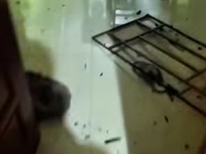 Kronologi 9 Pria Rusak Rumah Warga di Maros Usai Cekcok Saat Nongkrong